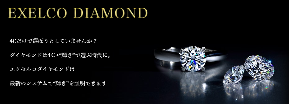 �G�N�Z���R�_�C�������h �̔��X